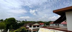 Leedon Park (D10), Detached #619483821